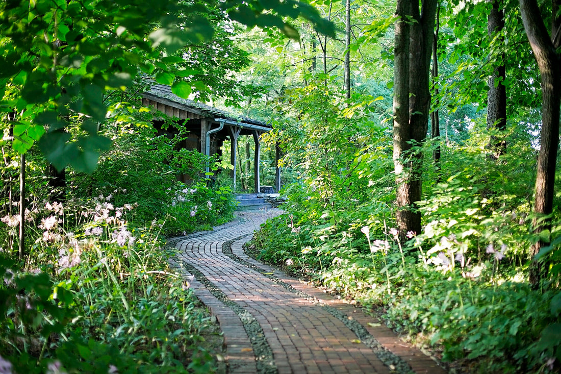 Top or Best AR Filters and Lenses Agencies and Companies in Muncie, Indiana