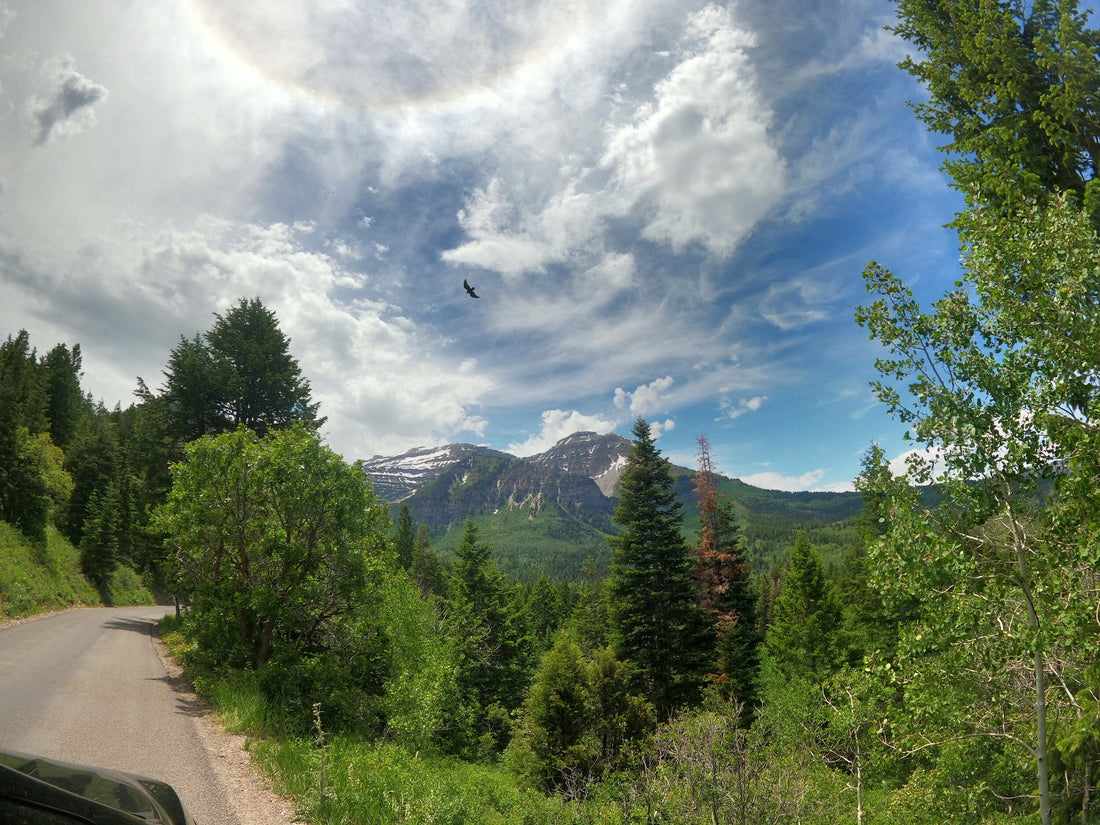 Top or Best LinkedIn Management Agencies and Companies in Ammon, Idaho