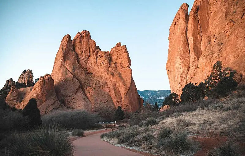 Top or Best Athlete Management Agencies and Companies in Colorado Springs, Colorado