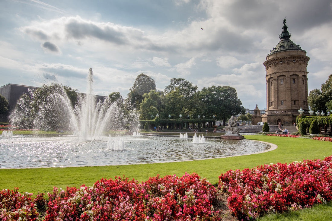 Top or Best Instagram Management Agencies and Companies in Mannheim, Germany