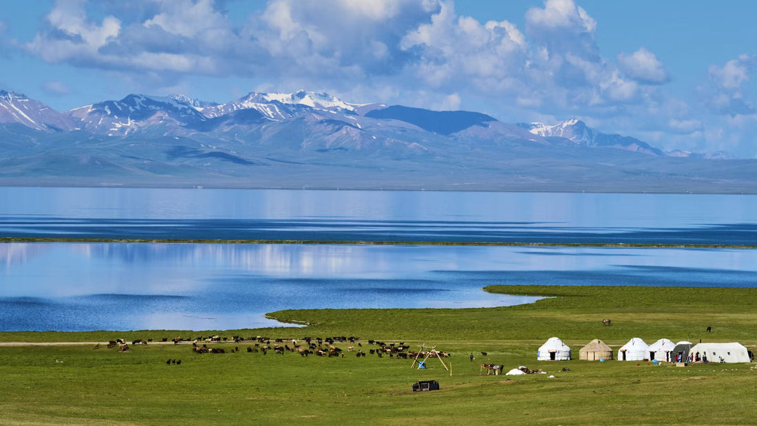 Top or Best Talent Management Agencies and Companies in Kyrgyzstan