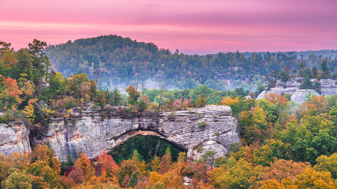 Best Instagram Management Companies in Kentucky