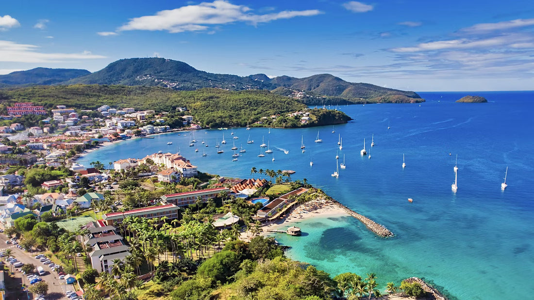 Top or Best Influencer Agency for Martiniquan Influencers