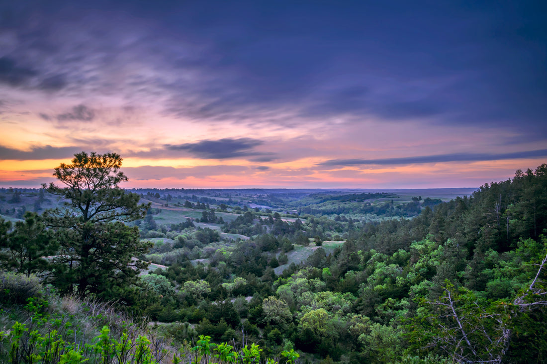 Top or Best Infographic Design Agencies and Companies in Lexington, Nebraska