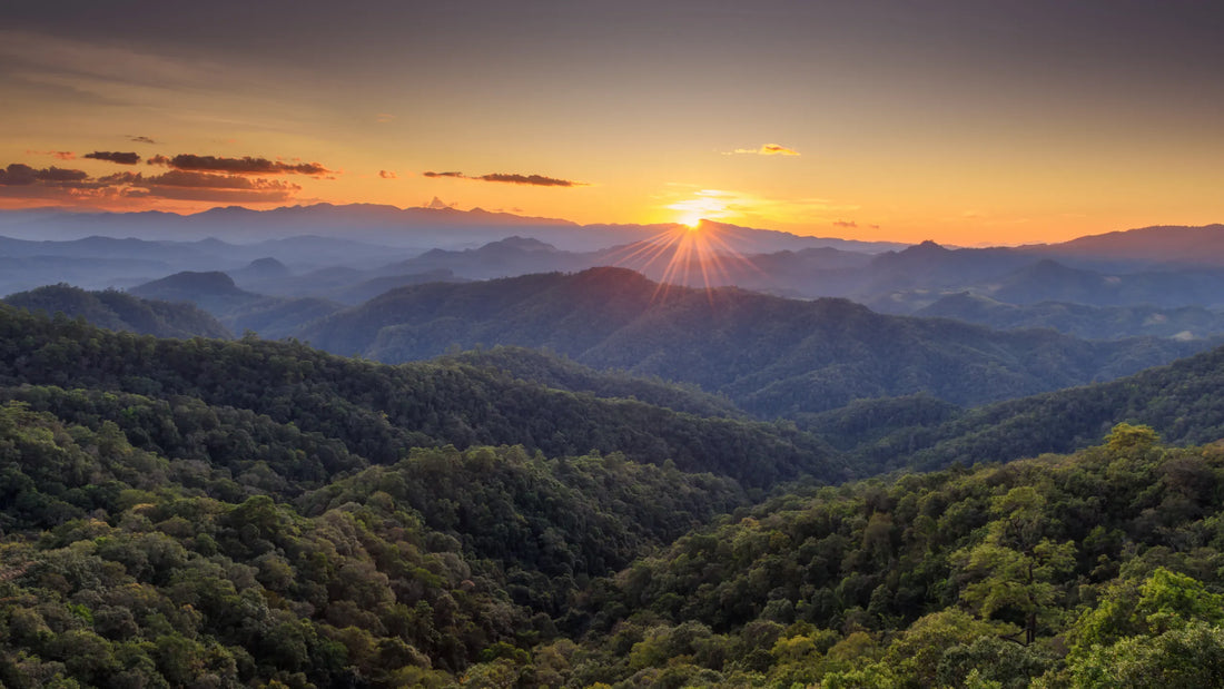 Top or Best Graphics for Streamers Agencies and Companies in Morgantown, West Virginia