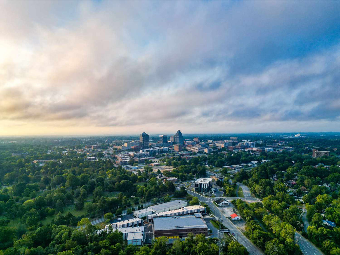 Top or Best NFT Art Agencies and Companies in Greensboro, North Carolina