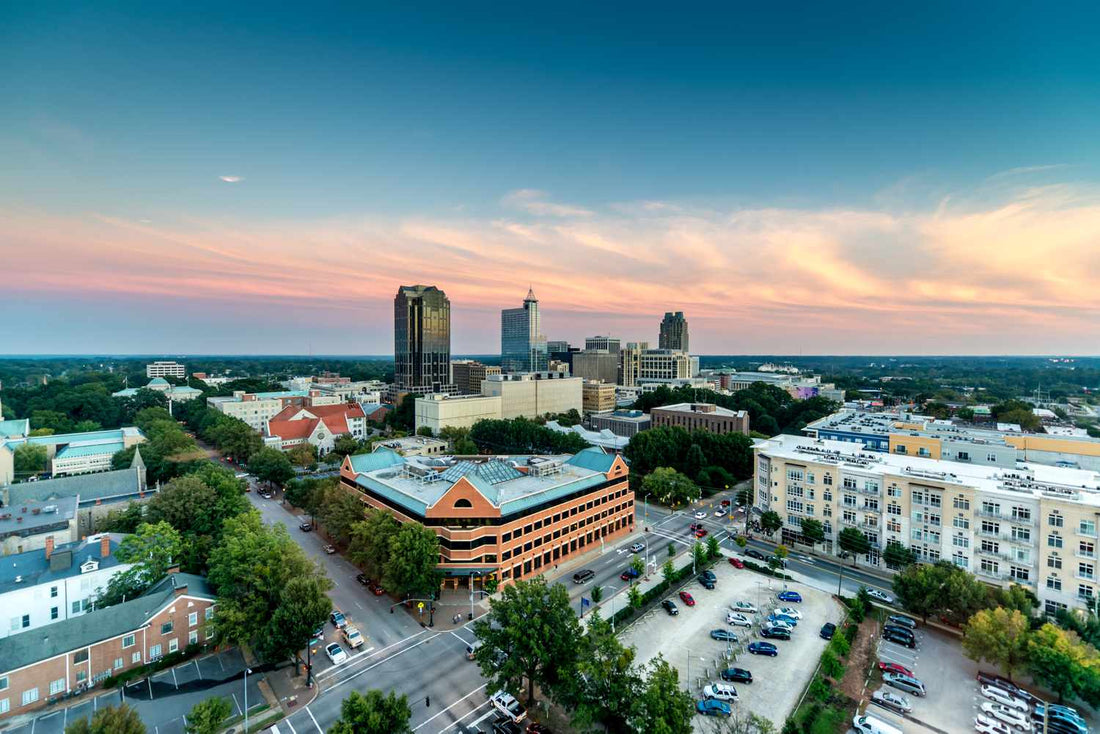 Top or Best Mural Design Agencies and Companies in Raleigh, North Carolina