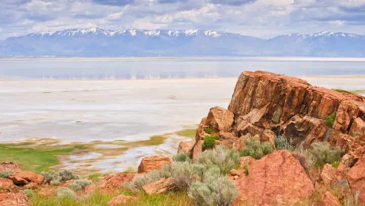 Top or Best Postcard Design Agencies and Companies in South Jordan, Utah