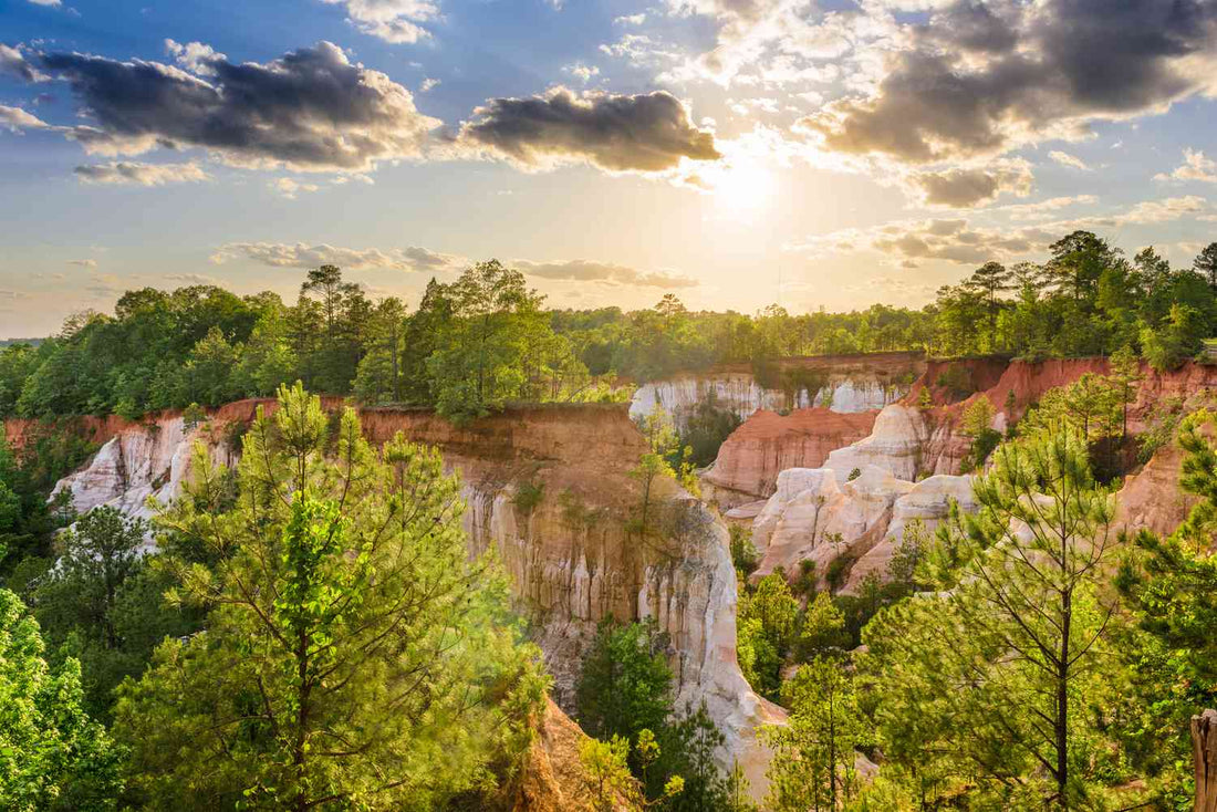 Top or Best Photography and Photo Editing Agencies and Companies in Mableton, Georgia