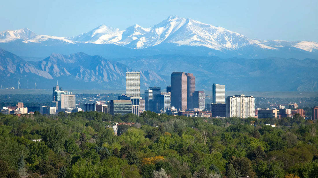 Top or Best Logo Design Agencies and Companies in Denver, Colorado