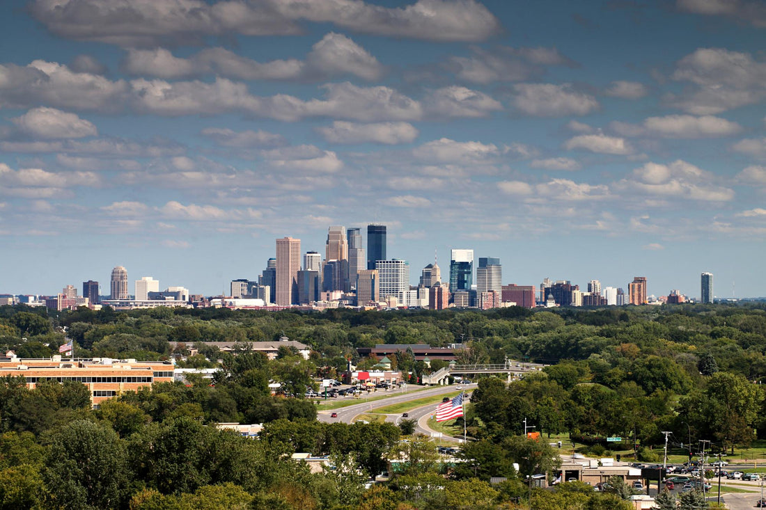 Top and Best Cartoons and Comics Agencies and Companies in St. Louis Park Minnesota