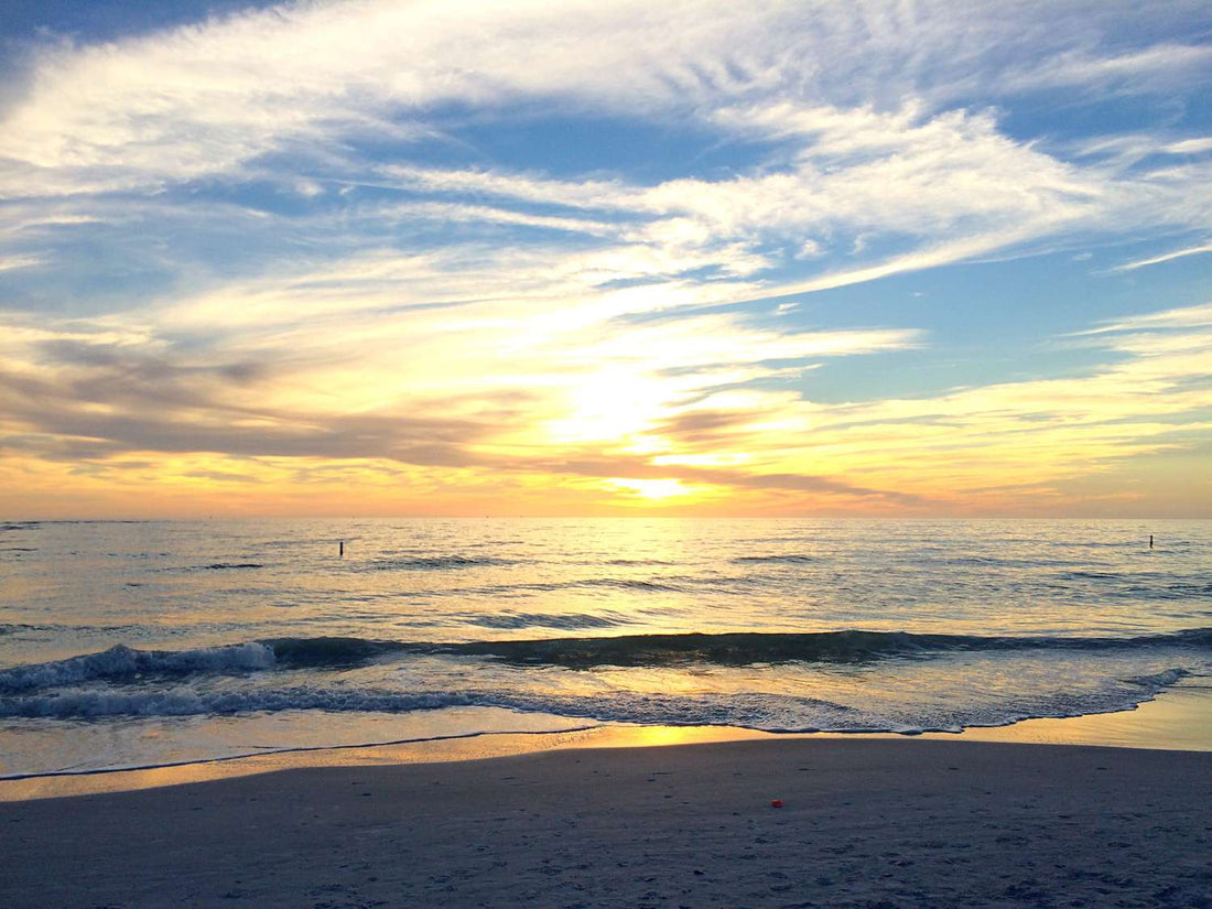 Top or Best Virtual Background Design Agencies and Companies in Daytona Beach, Florida