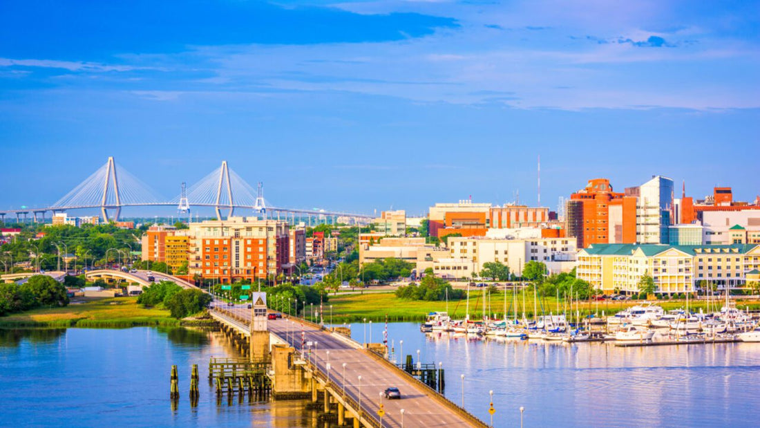 Top or Best Animation & Motion Graphics Agencies and Companies in Charleston, South Carolina