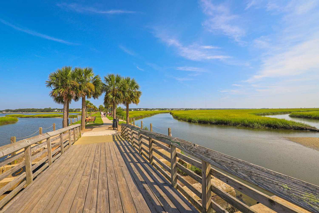 Top or Best App UI/UX Design Agencies and Companies in Mount Pleasant, South Carolina