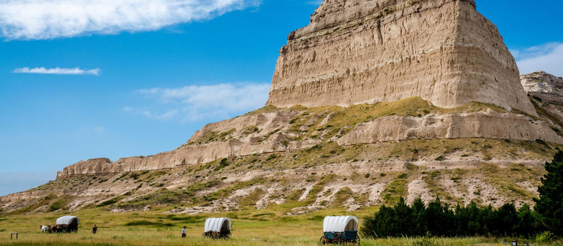 Top	NFT Art Agencies in Nebraska 