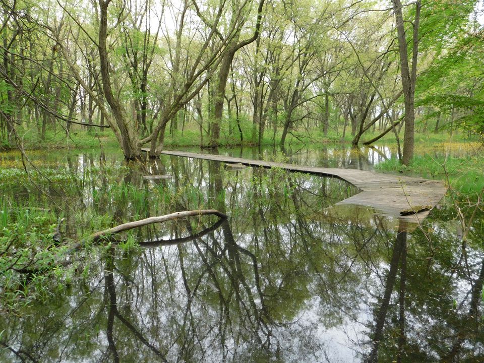 Top or Best Animation & Motion Graphics Agencies and Companies in Hammond, Indiana