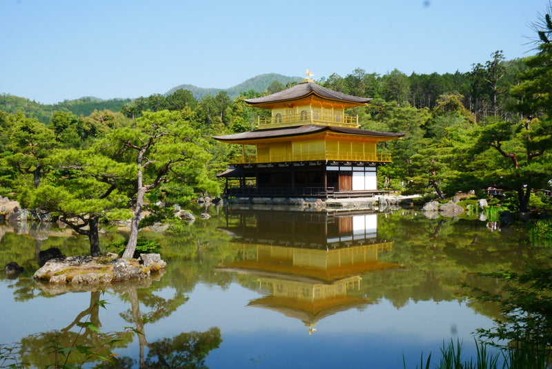 Top or Best Portraits & Caricatures Agencies and Companies in Osaka, Japan