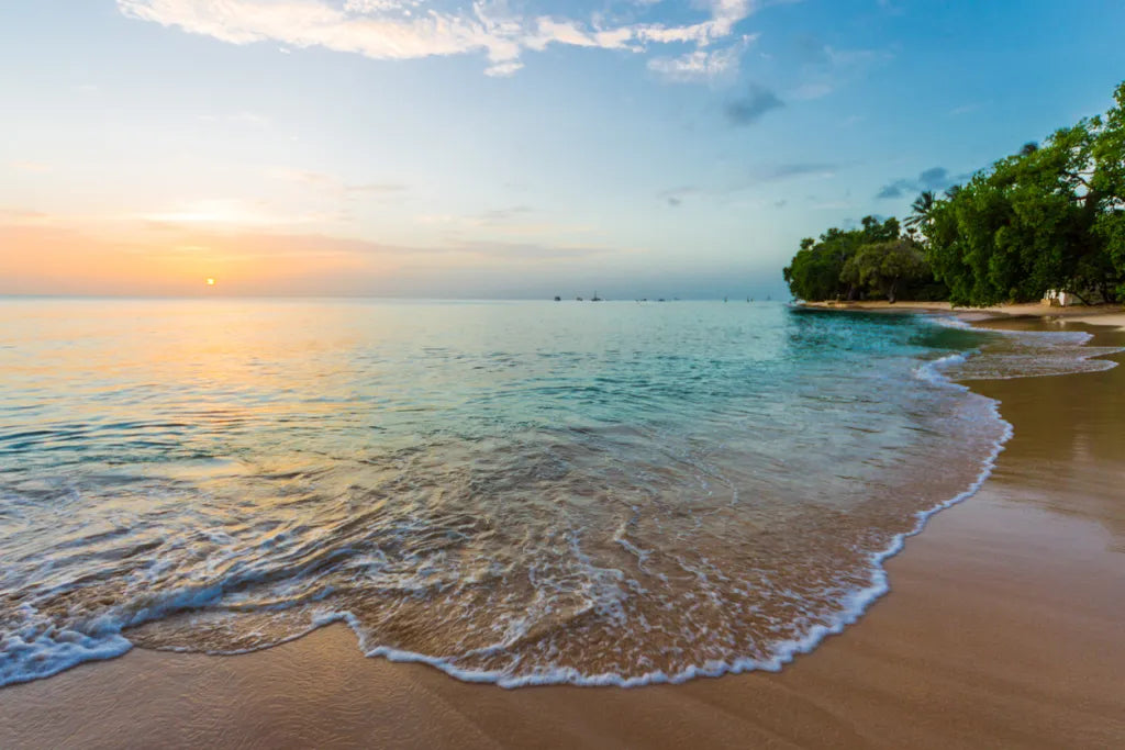 Top 5 Animation & Motion Graphics Design Agencies in Barbados