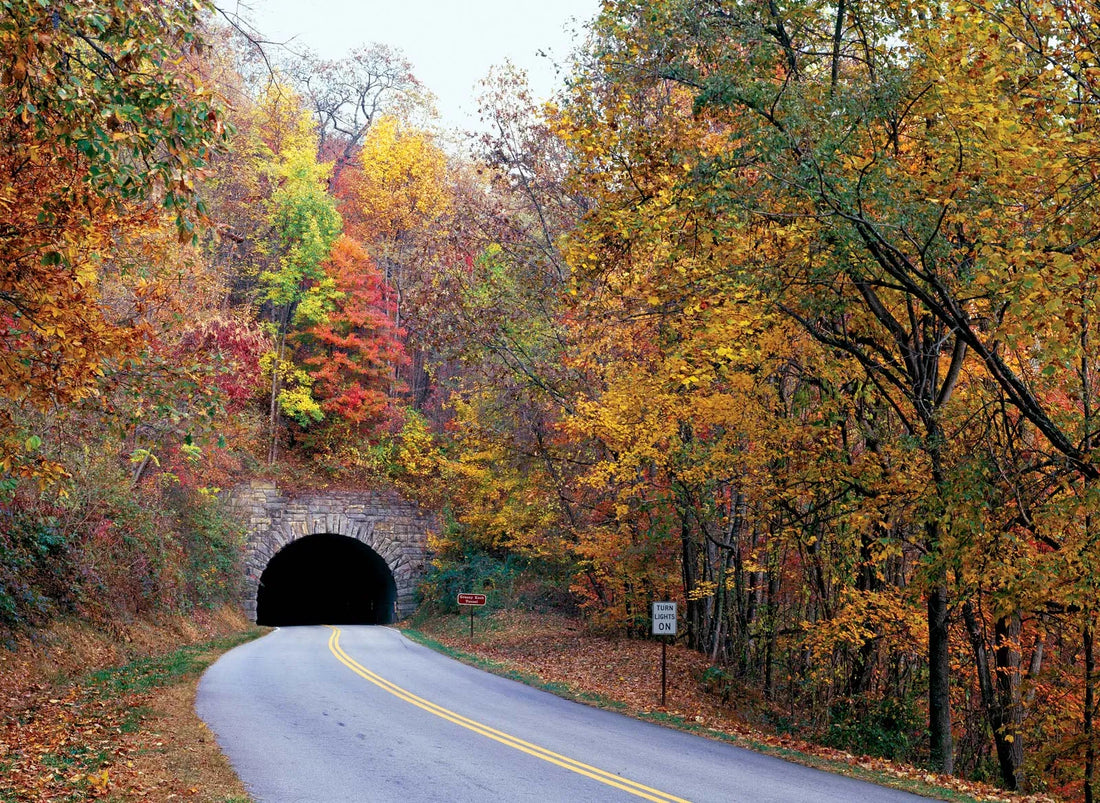 Top or Best Graphic Design Agencies and Companies in Bluefield, West Virginia