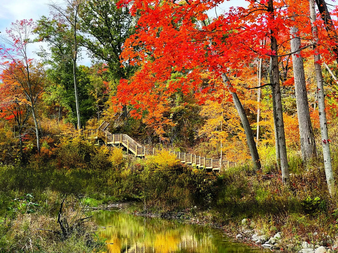 Top or Best Brochure Design Agencies and Companies in Waukegan, Illinois