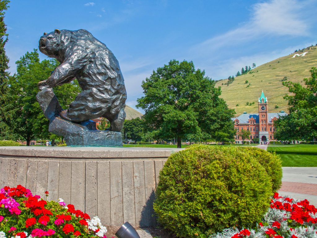 Top or Best Banner Ads Agencies and Companies in Missoula, Montana