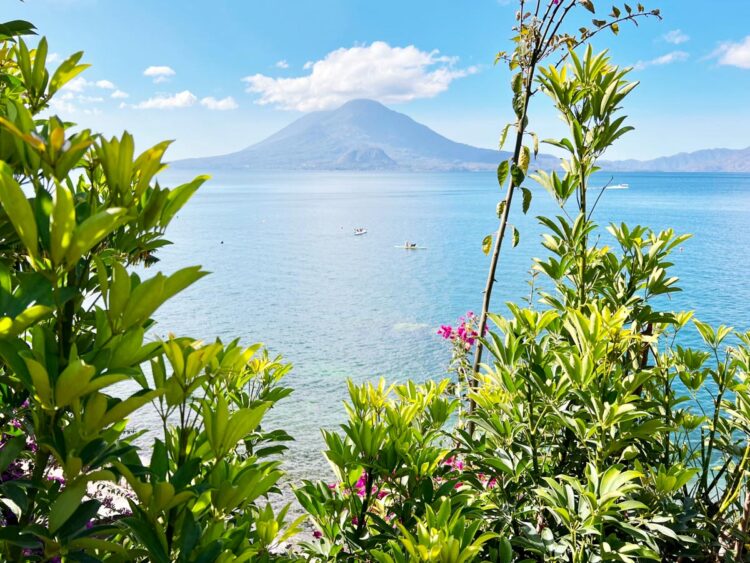 Top Banner Ad Agencies in Guatemala