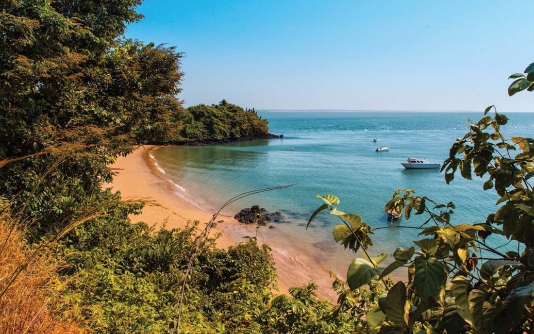 Top or Best Influencer Agency for Guinea-Bissauan Influencers