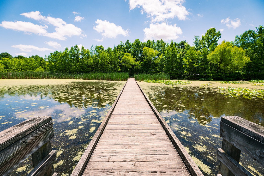 Top or Best Twitch Management Agencies and Companies in Evansville, Indiana