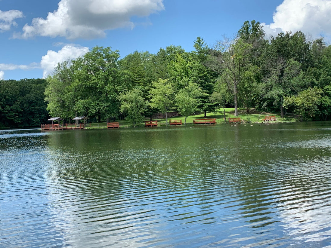 Top or Best TikTok Management Agencies and Companies in Terre Haute, Indiana