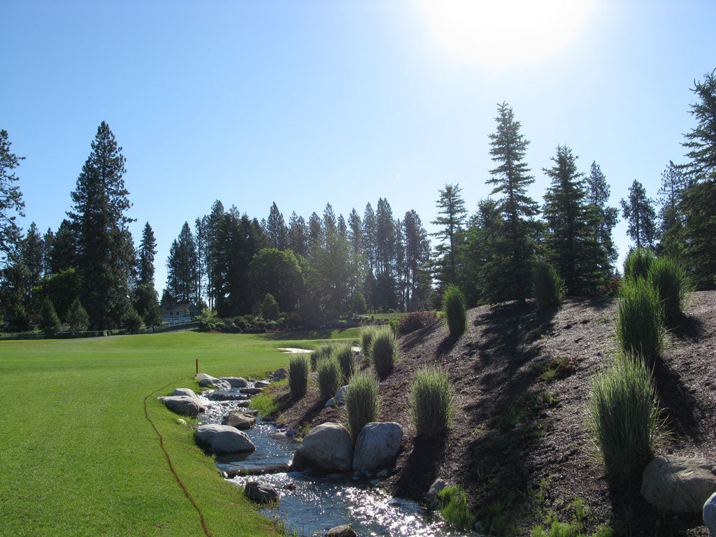 Top or Best Postcard Design Agencies and Companies in Hayden, Idaho