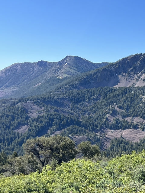 Top or Best Brochure Design Agencies and Companies in Hayden, Idaho