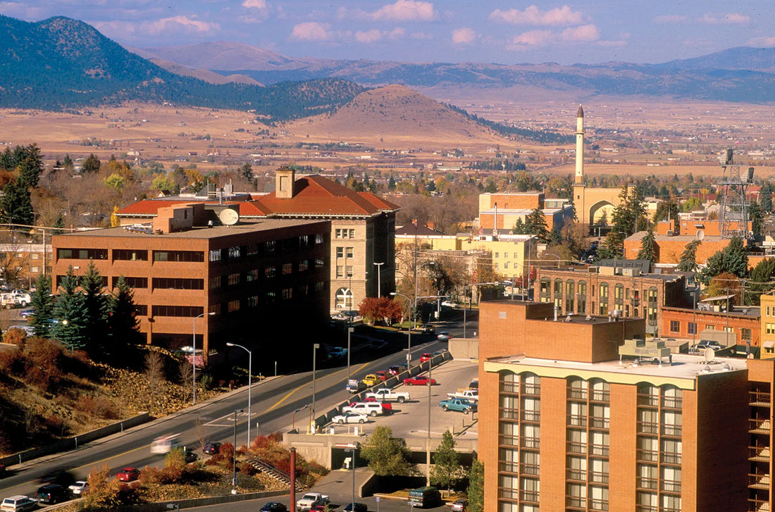 Top or Best Mural Design Agencies and Companies in Helena, Montana