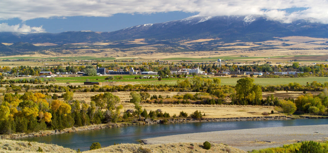 Top or Best Portrait & Caricature Agencies and Companies in Helena Valley Southeast, Montana