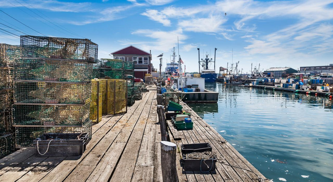 Top or Best Photo Editing Agencies and Companies in Portland, Maine