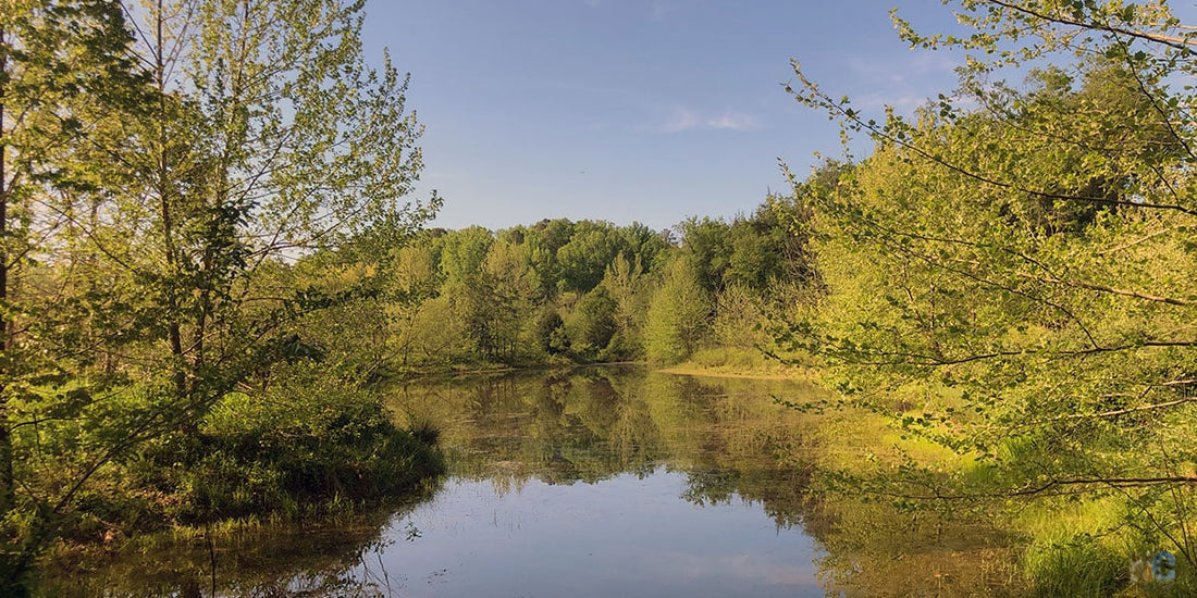 Top or Best Custom Graphics for Videos Agencies and Companies in Chapel Hill, North Carolina