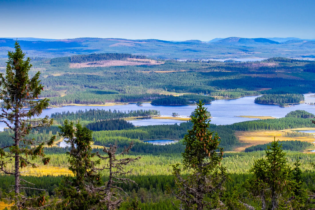 Top 5 Social Media Design Agencies in Sweden