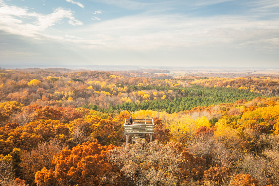 Top or Best App UI/UX Design Agencies and Companies in Eau Claire, Wisconsin