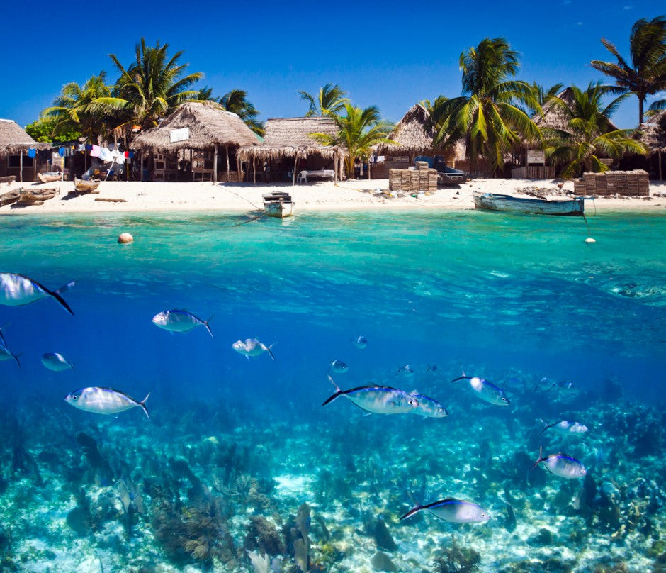 Top AR Filters and Lenses Agencies in Honduras