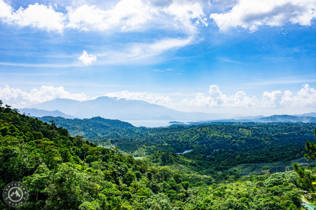 Top Banner Ads Agencies in Honduras