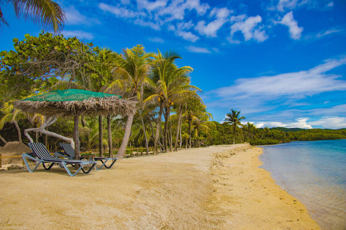Top Invitation Design Agencies in Honduras