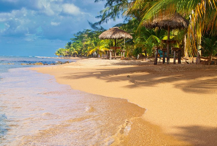 Top Social Media Design Agencies in Honduras