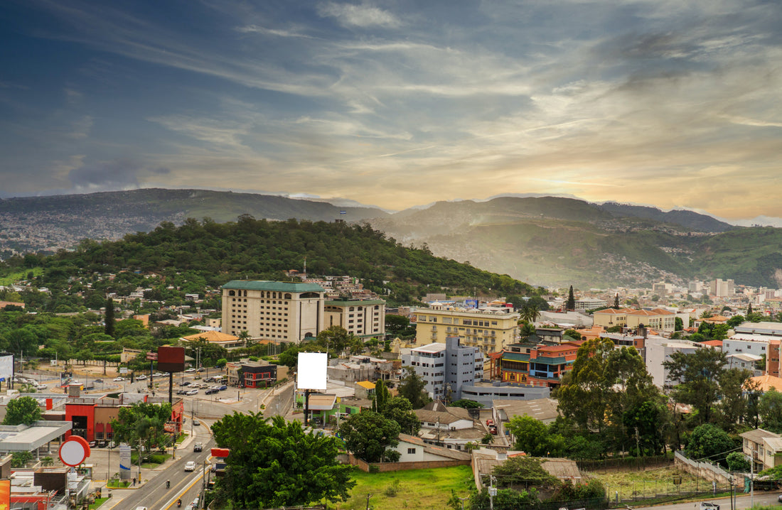 Best TikTok Management Companies in Honduras