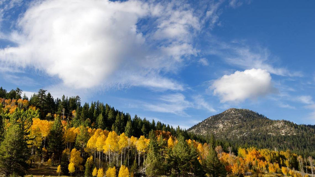 Top or Best Facebook Management Agencies and Companies in Ammon, Idaho