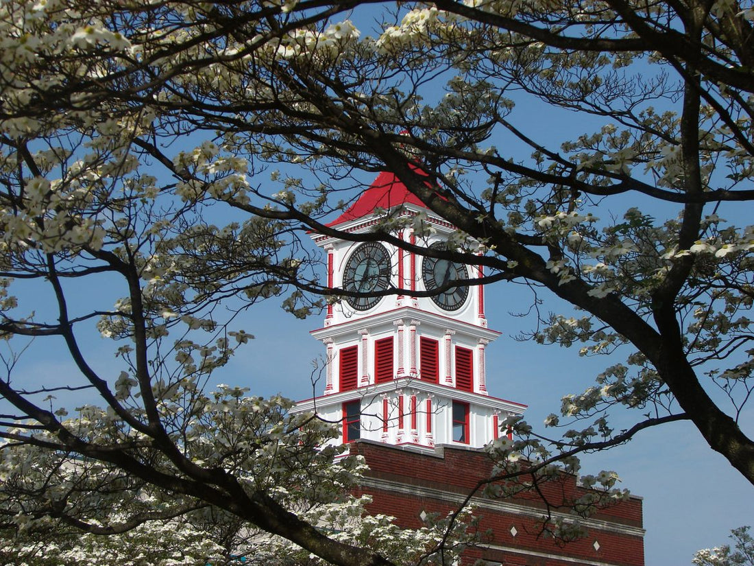 Best or Top Tattoo Design Agencies and Companies in Hopkinsville, Kentucky