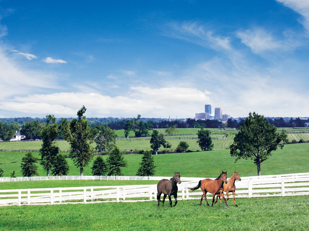 Top or Best Athlete Management Agencies and Companies in Lexington, Kentucky