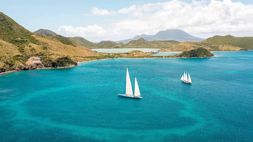 Top or Best Talent Management Agencies and Companies in Saint Kitts & Nevis