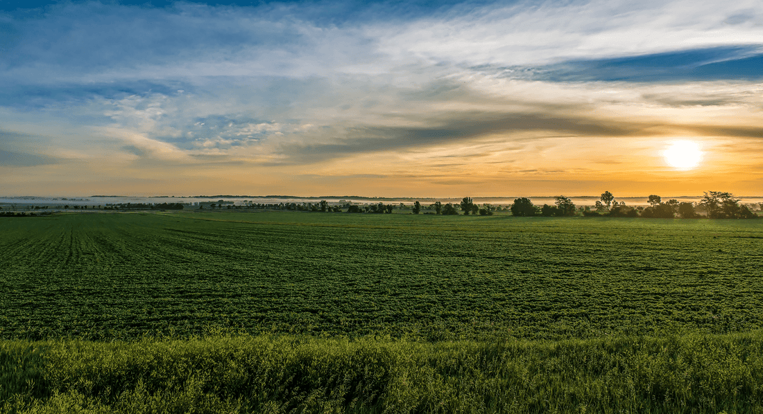 Top or Best Custom Graphics for Video Agencies and Companies in Johnston, Iowa