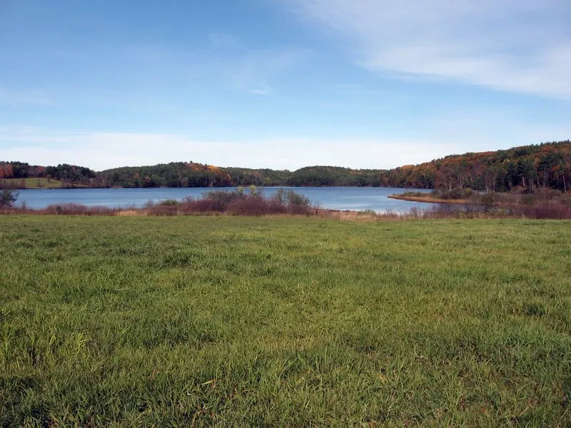 Top or Best Virtual Background Design Agencies and Companies in Colchester, Vermont