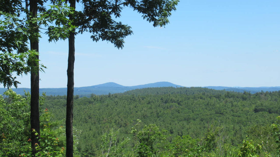 Top or Best AR Filters & Lenses Agencies and Companies in Milford, New Hampshire