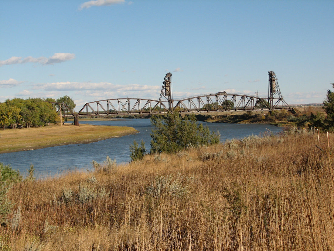 Top or Best Cartoons and Comics Agencies and Companies in Sidney, Montana